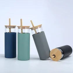 Corporate Gift-Borosilicate Glass Water Bottle